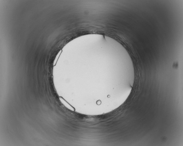 X0000113950221200911061311