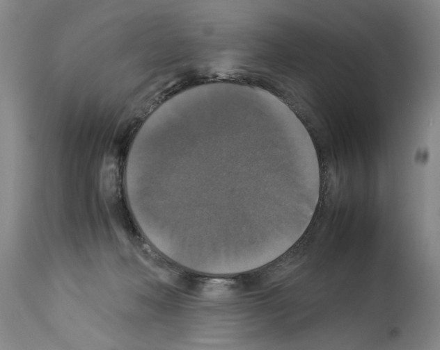 X0000113950222200911061311