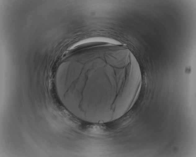 X0000113950223200911061311