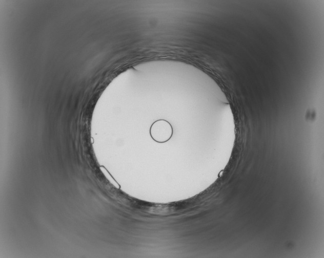 X0000113950225200911061311