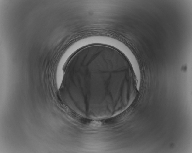 X0000113950227200911061311