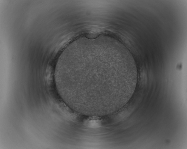 X0000113950228200911061311