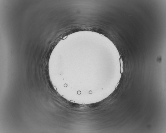 X0000113950229200911061311