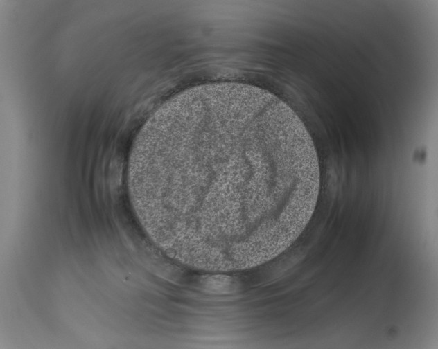 X0000113950230200911061311