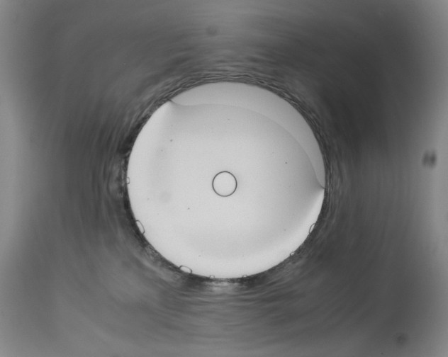X0000113950233200911061311