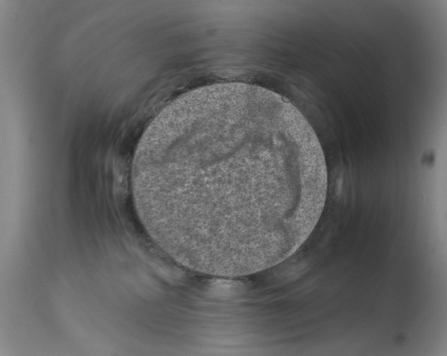 X0000113950234200911061311