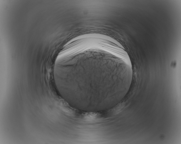 X0000113950235200911061311
