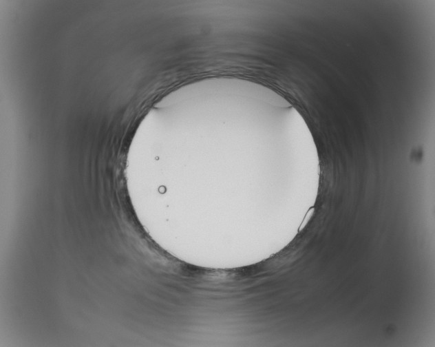 X0000113950237200911061311