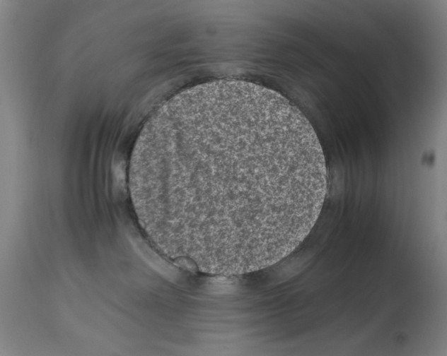 X0000113950238200911061310