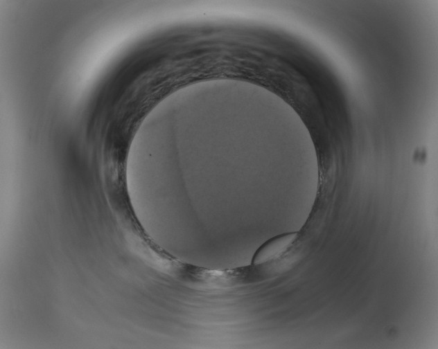 X0000113950239200911061310