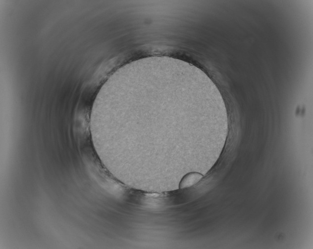 X0000113950240200911061310