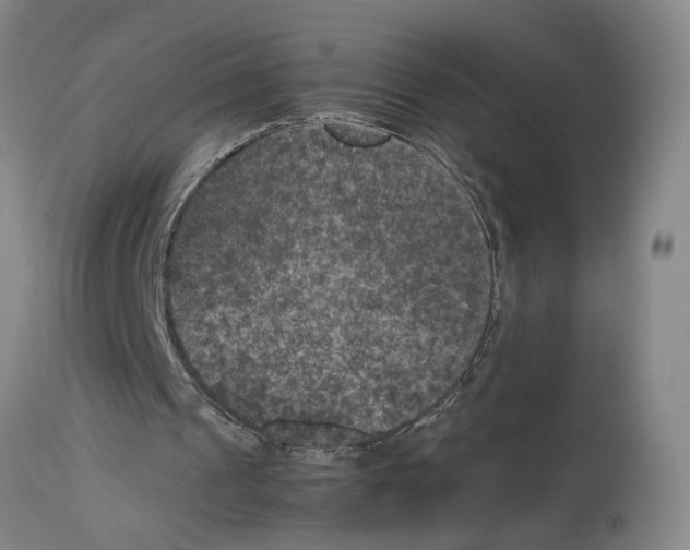 X0000113950241200911061310