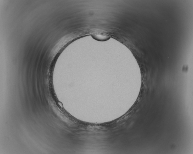 X0000113950242200911061310