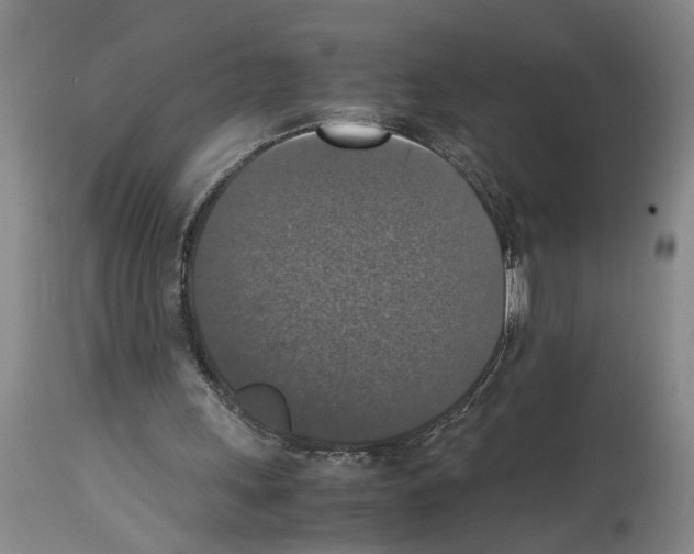 X0000113950243200911061310