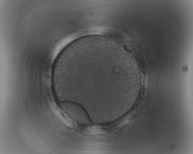 X0000113950244200911061310