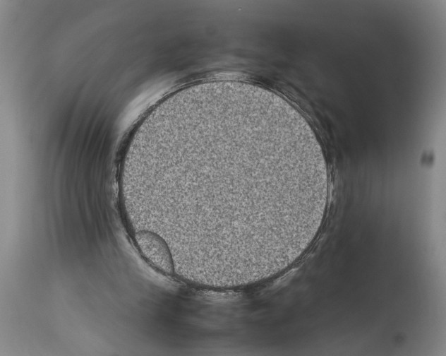 X0000113950245200911061310
