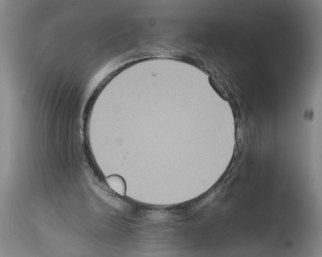 X0000113950246200911061310