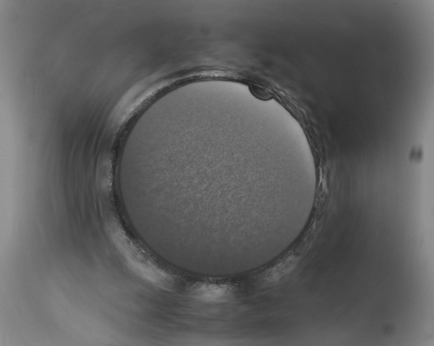 X0000113950247200911061310