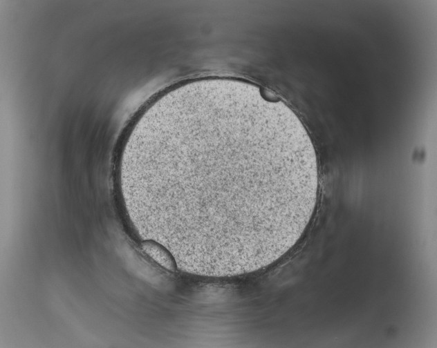 X0000113950248200911061310