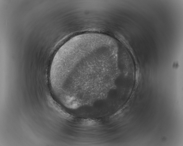 X0000113950249200911061310