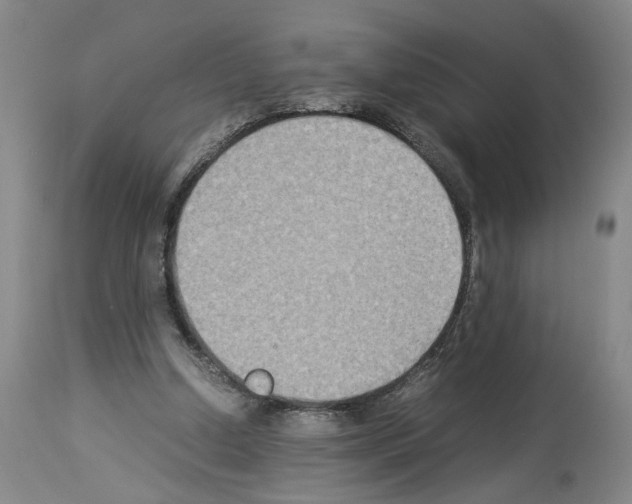 X0000113950250200911061310