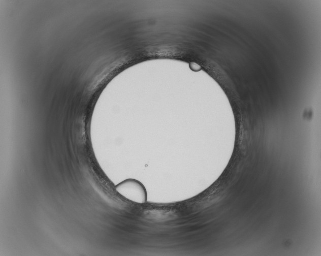 X0000113950251200911061310