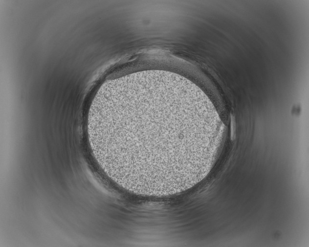 X0000113950252200911061310