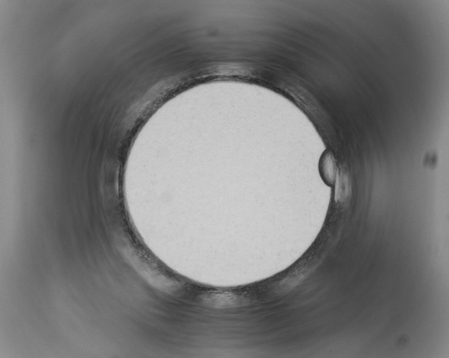 X0000113950253200911061310