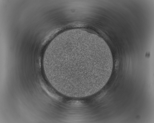 X0000113950254200911061310