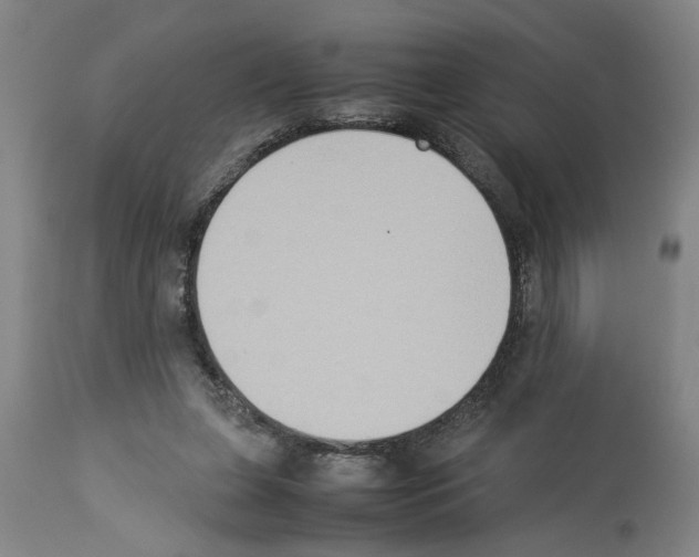 X0000113950255200911061310