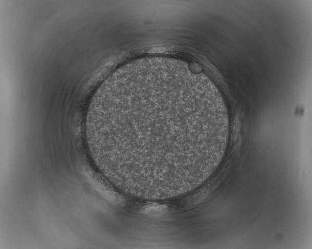 X0000113950257200911061310