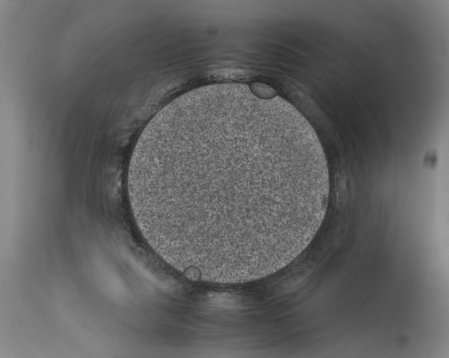 X0000113950259200911061310