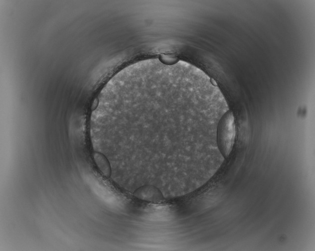 X0000113950260200911061310
