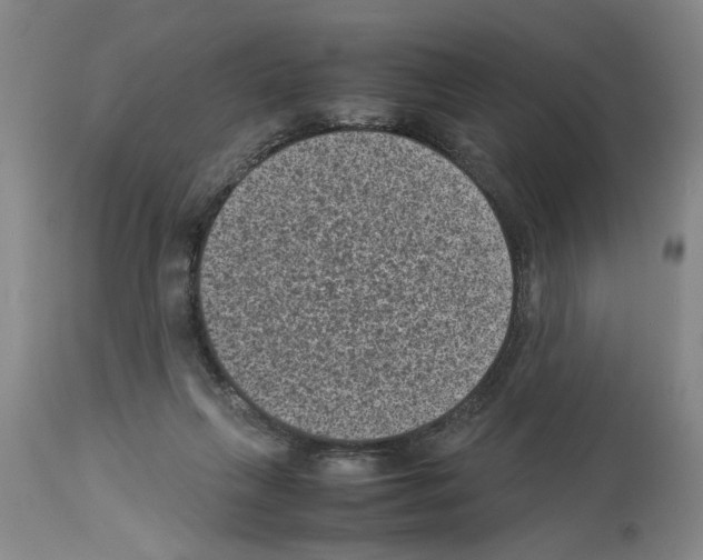 X0000113950263200911061310