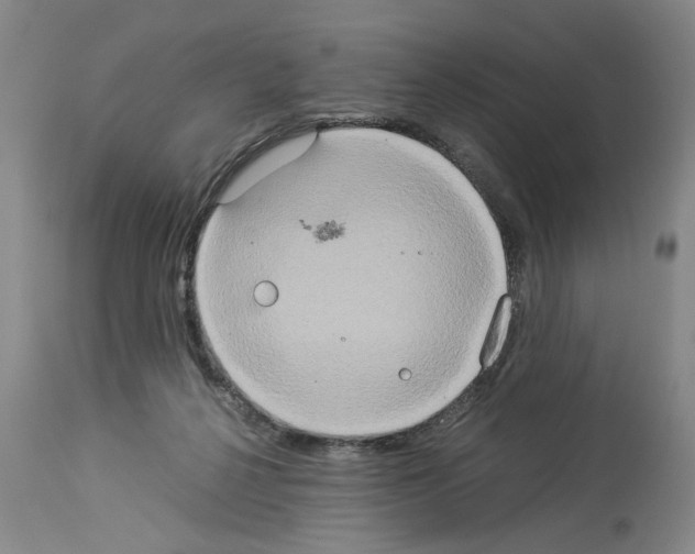 X0000113950264200911061310