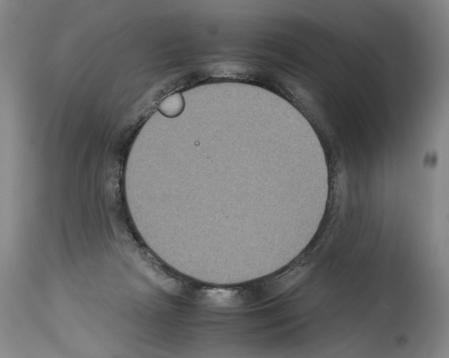 X0000113950265200911061310