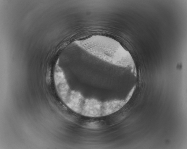 X0000113950267200911061310