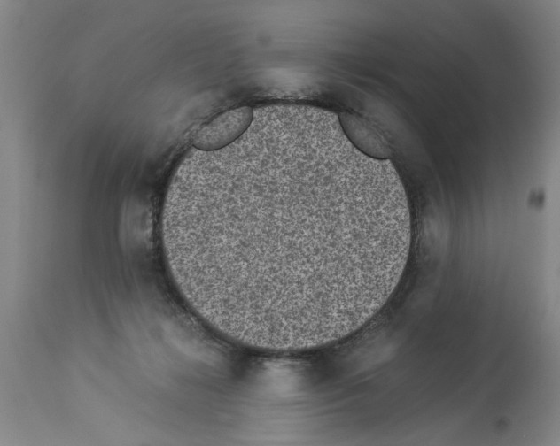 X0000113950268200911061310