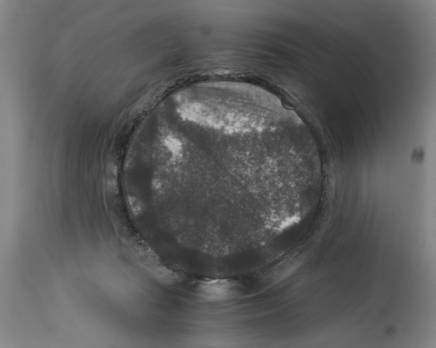 X0000113950269200911061310