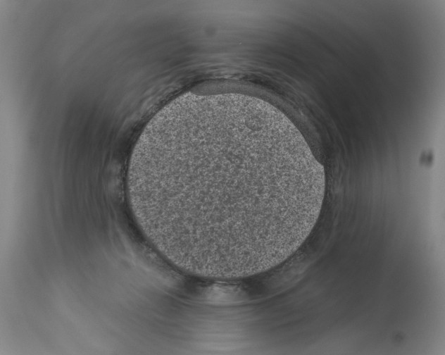 X0000113950270200911061310