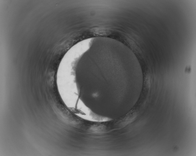 X0000113950271200911061310