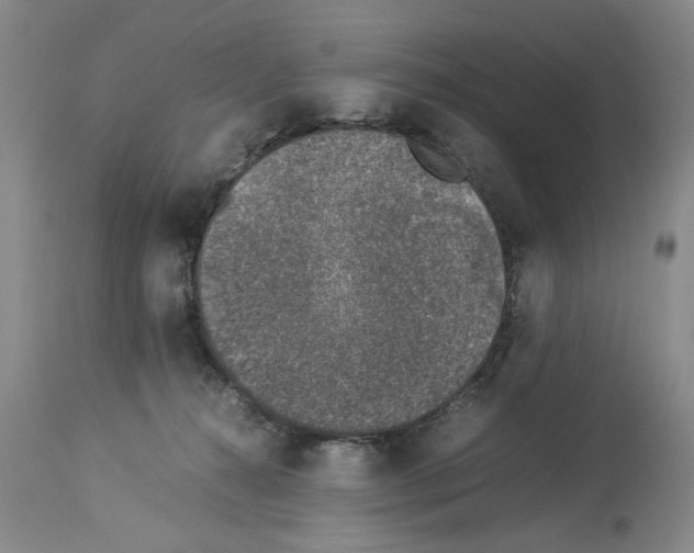 X0000113950272200911061310