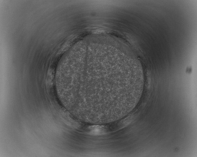 X0000113950273200911061310