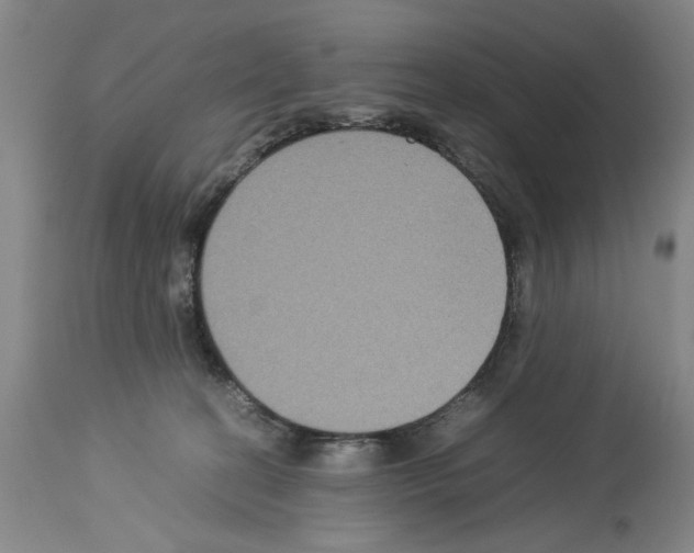 X0000113950274200911061310