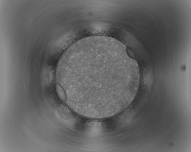 X0000113950276200911061310