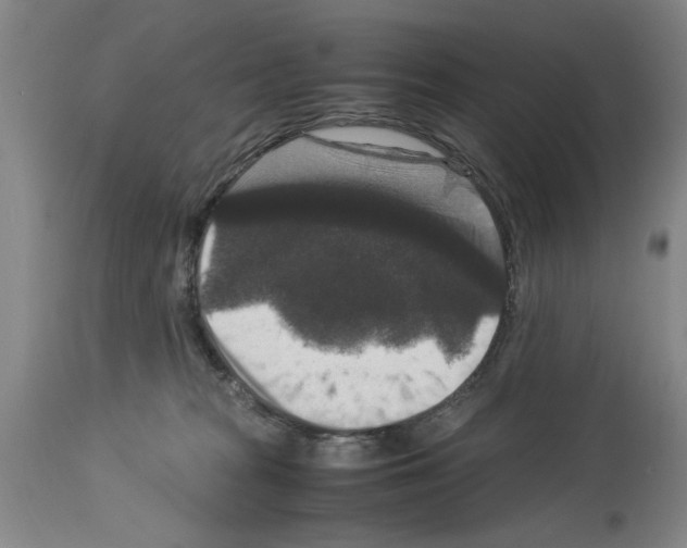 X0000113950277200911061310