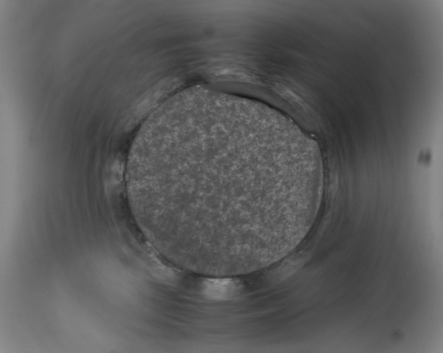 X0000113950281200911061310
