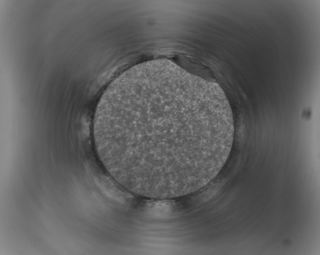 X0000113950282200911061310