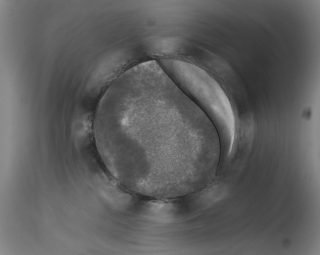 X0000113950284200911061310