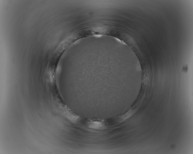 X0000113950285200911061310